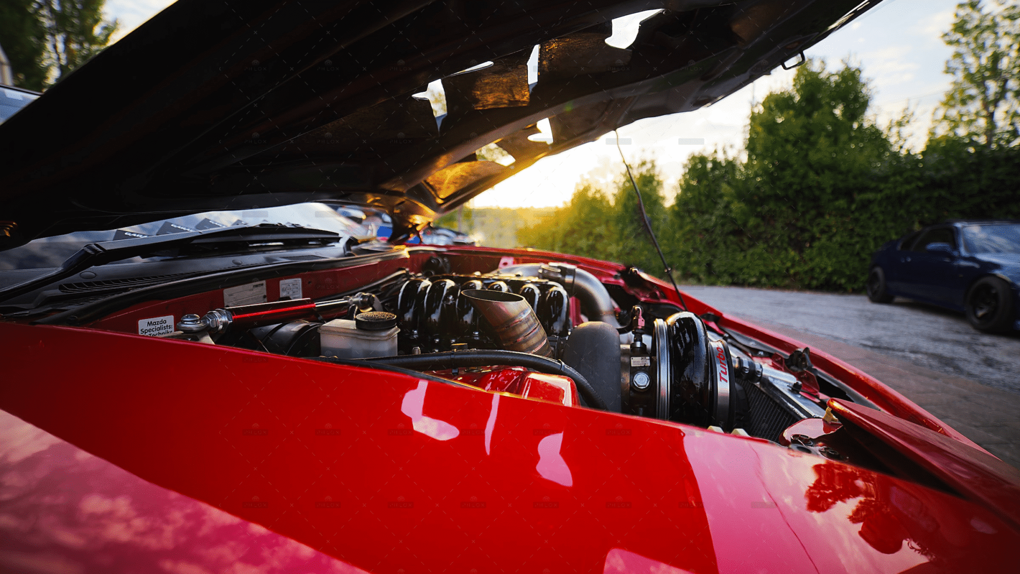 demo-attachment-1273-patrick-bWSiIlfFr-8-unsplash